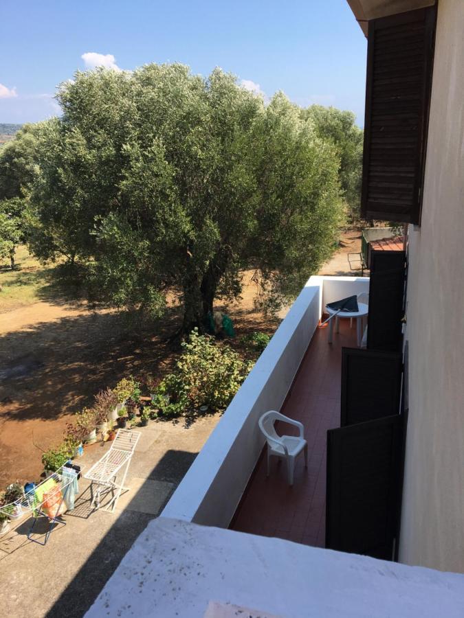 Casa Vacanza Maria Antonieta Marina di Camerota Luaran gambar