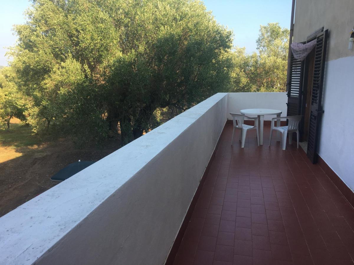 Casa Vacanza Maria Antonieta Marina di Camerota Luaran gambar