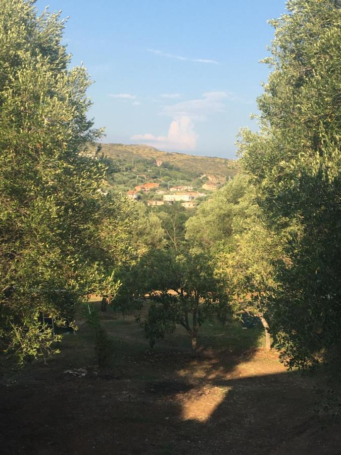 Casa Vacanza Maria Antonieta Marina di Camerota Luaran gambar