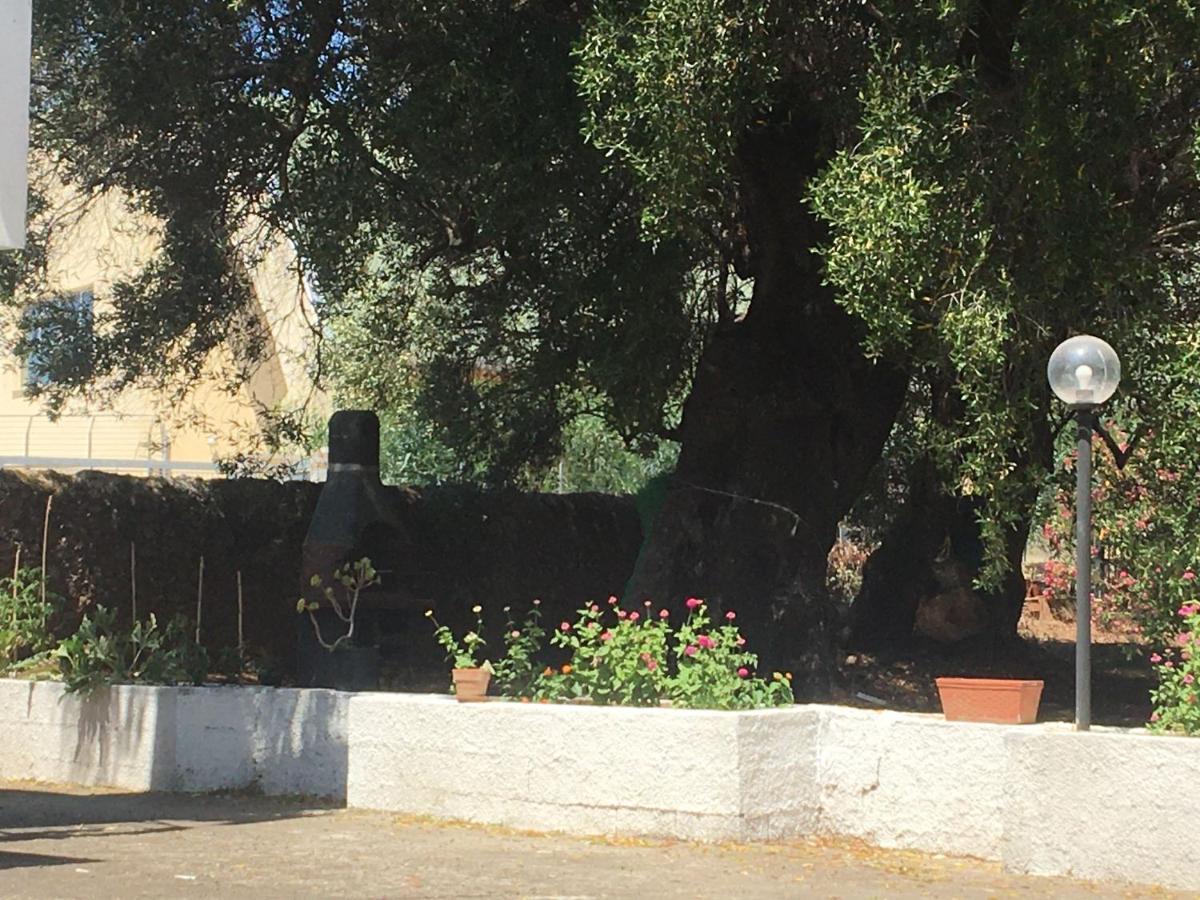 Casa Vacanza Maria Antonieta Marina di Camerota Luaran gambar