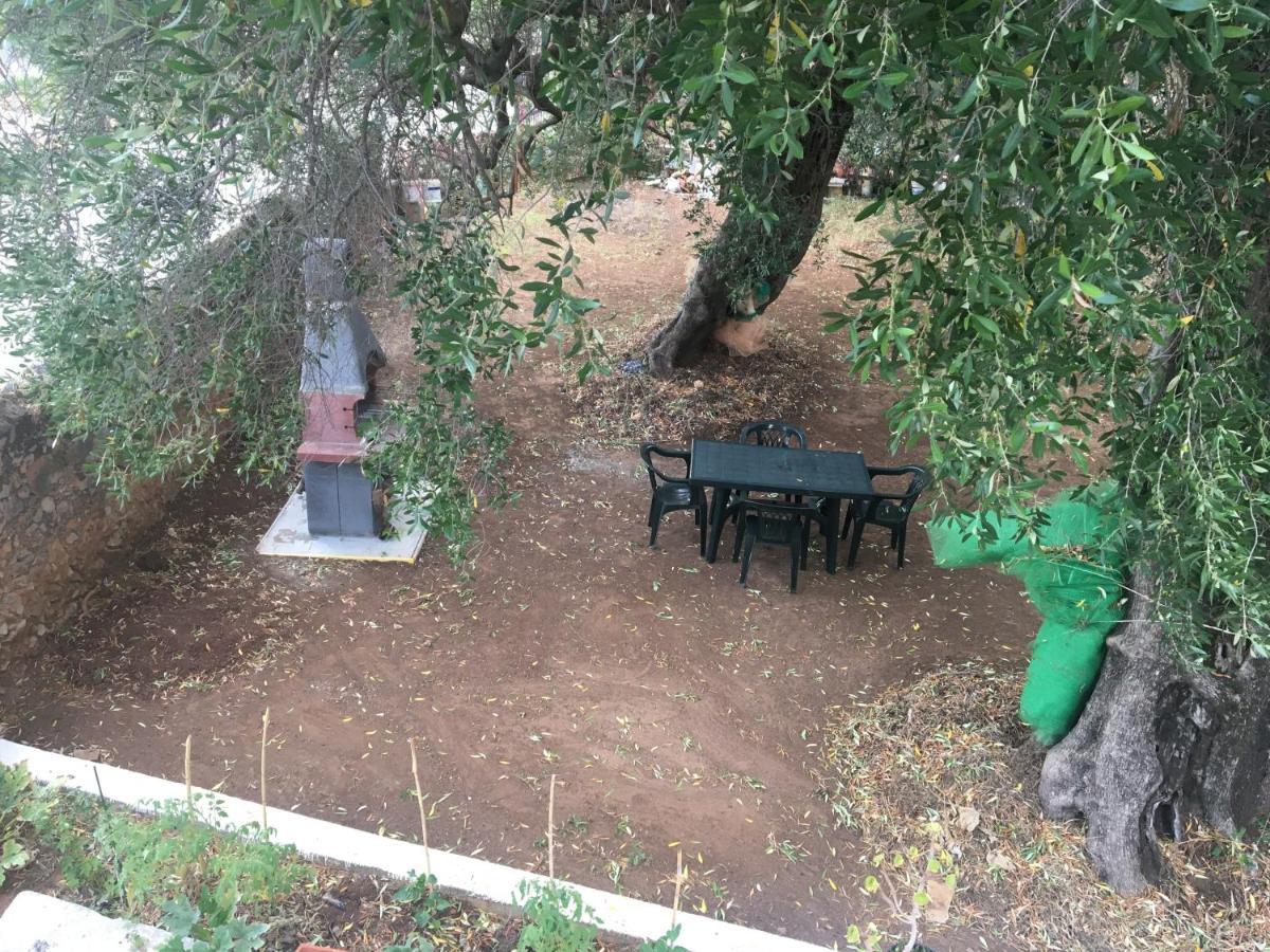 Casa Vacanza Maria Antonieta Marina di Camerota Luaran gambar