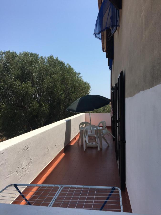 Casa Vacanza Maria Antonieta Marina di Camerota Luaran gambar