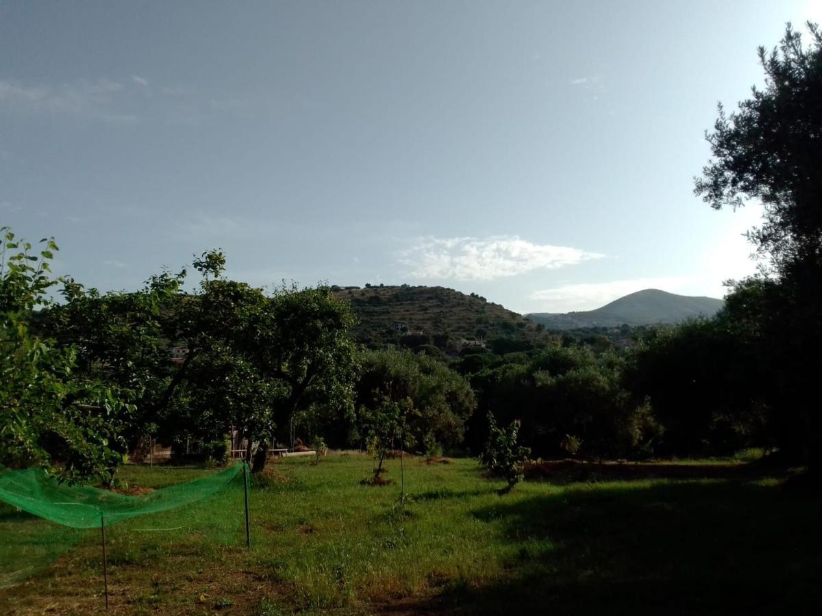 Casa Vacanza Maria Antonieta Marina di Camerota Luaran gambar
