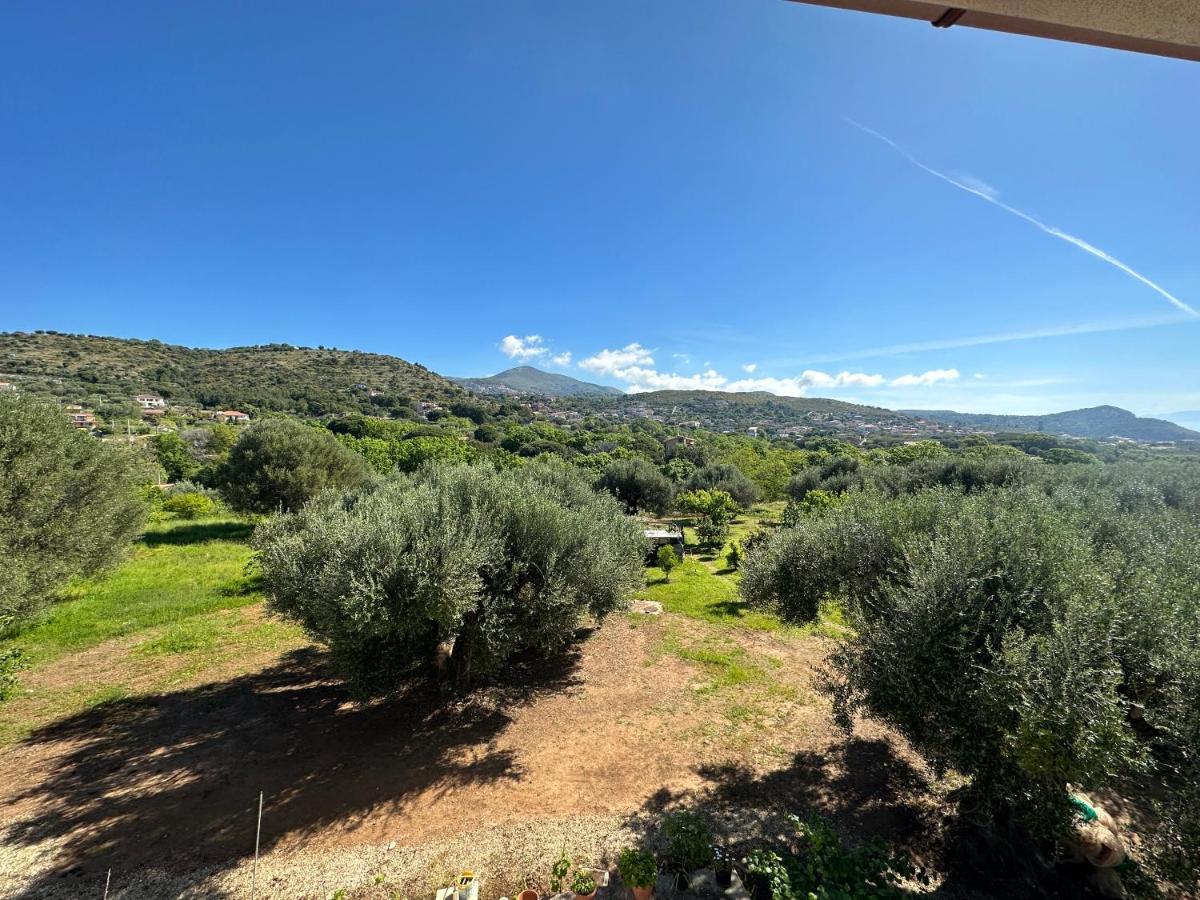 Casa Vacanza Maria Antonieta Marina di Camerota Luaran gambar