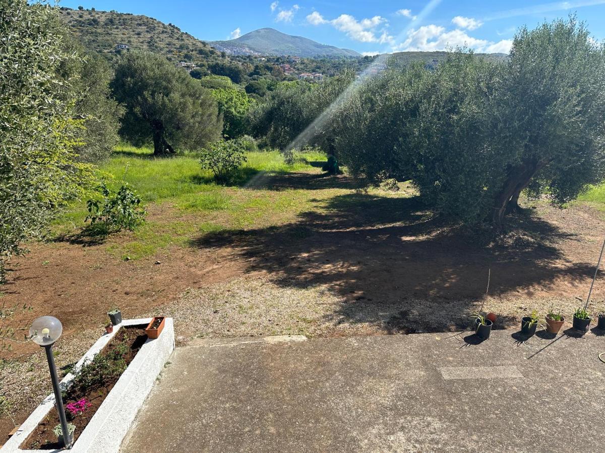 Casa Vacanza Maria Antonieta Marina di Camerota Luaran gambar